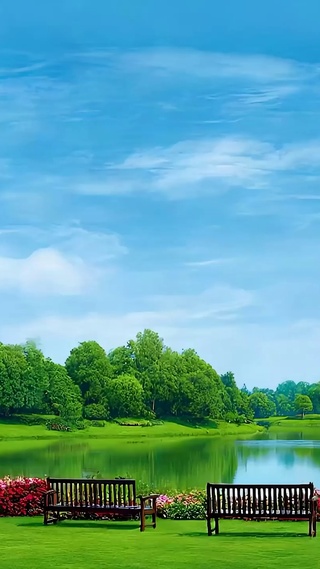 白云树木绿景