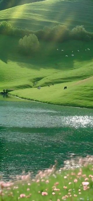 极致治愈！解压护眼草原湖泊~
