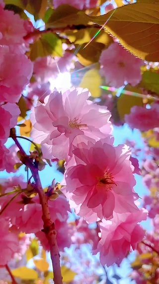 阳光正好 微风不燥