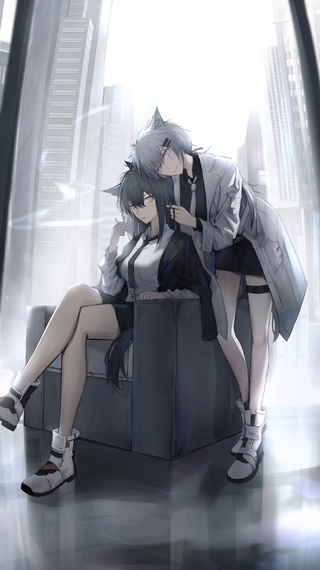 拉狗与德狗4k