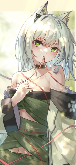 凯尔希小粽子