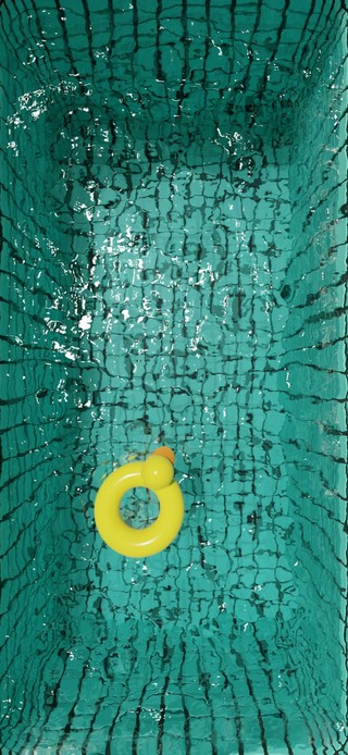 水池和小黄鸭