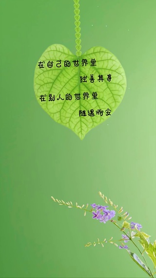 随遇而安