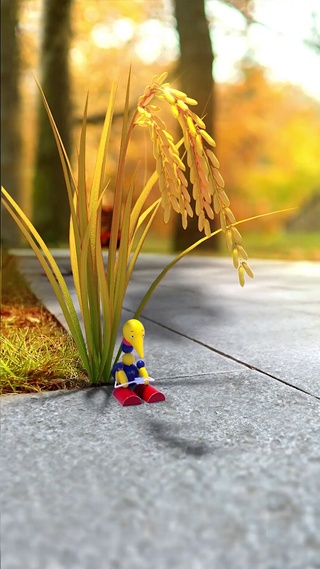 积木奥斯卡-爆米花