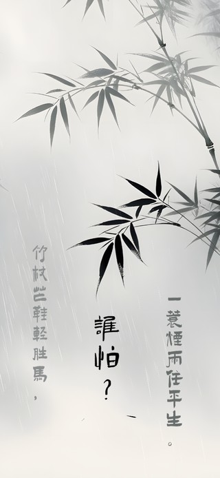 一蓑烟雨任平生。