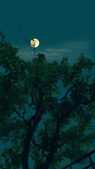 寂静夜晚