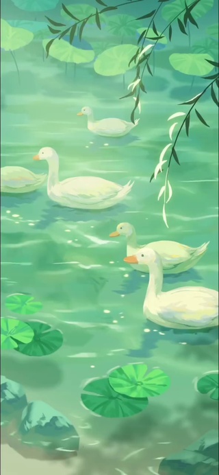 白毛浮绿水