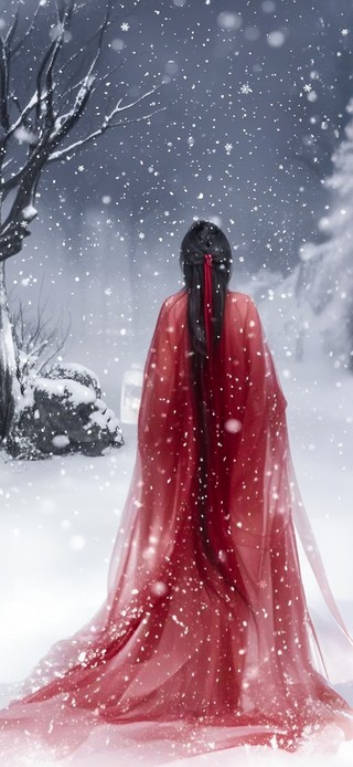 雪舞红妆