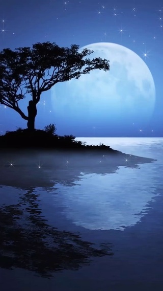 唯美夜景河畔