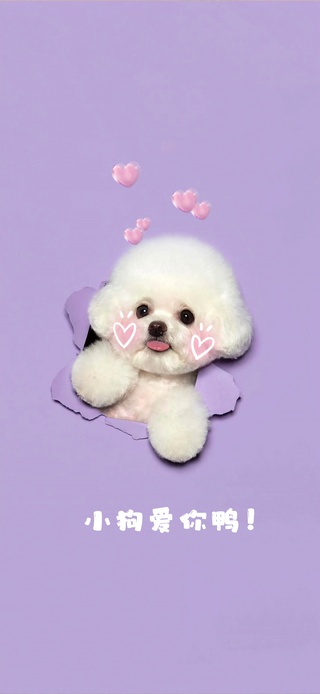小狗爱你！