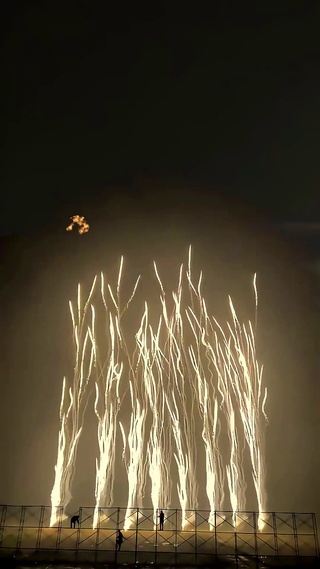 可爱鬼，请你看烟花