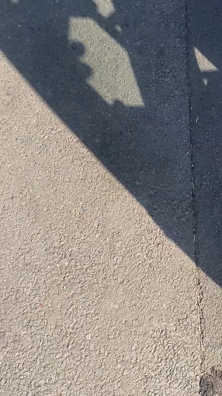 可爱爱跳舞的猫咪