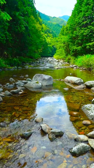 4K绿林山涧流水