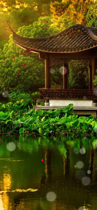 漫游园林