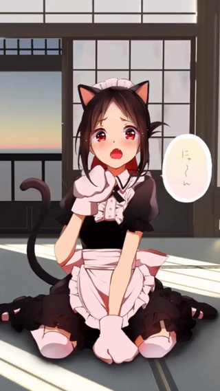 猫女仆四宫辉夜