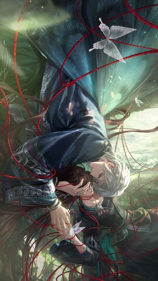 夏萧因 蝶梦网中