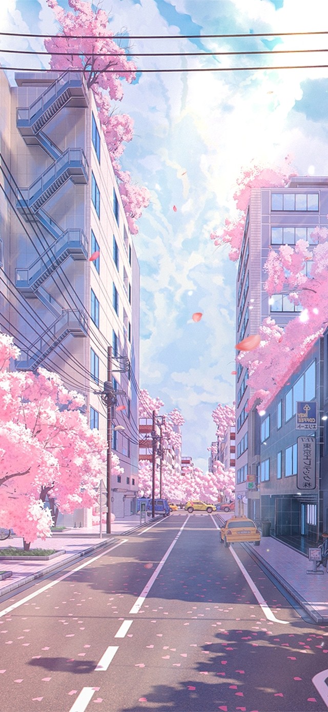 唯美樱花街道