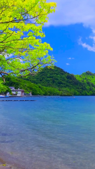 夏日青山湖畔