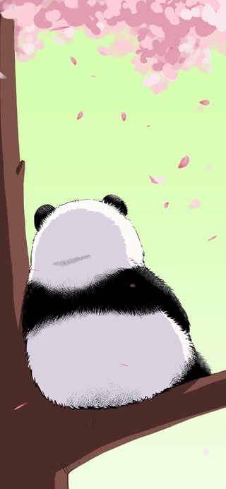 熊猫背影