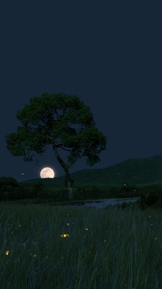 4K唯美治愈夜景