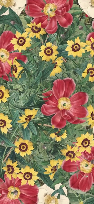 花海
