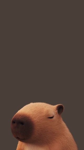 卡皮巴拉