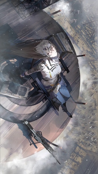 肴