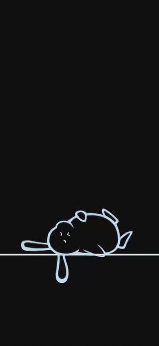 白小狸壁纸_趟兔