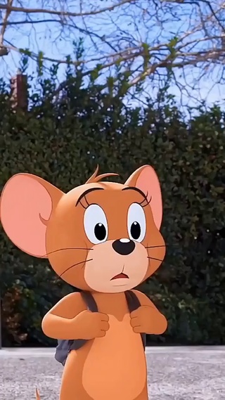 猫和老鼠