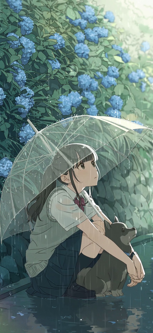 4K 治愈雨中动漫美少女