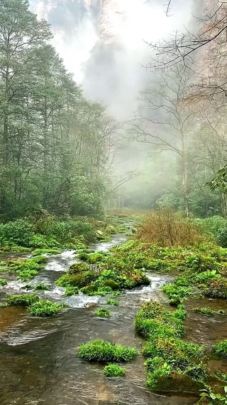 涓涓细流 人间仙境