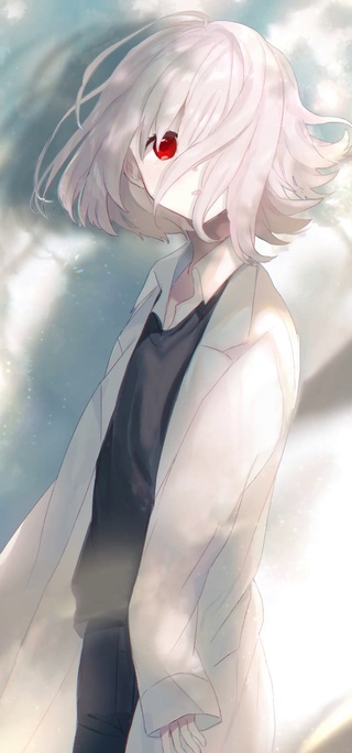 白毛控