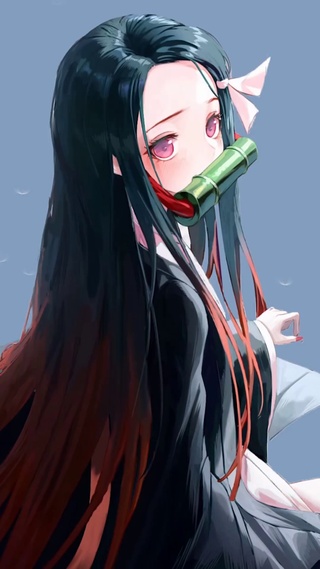 弥豆子