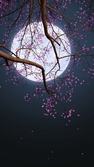 月光
