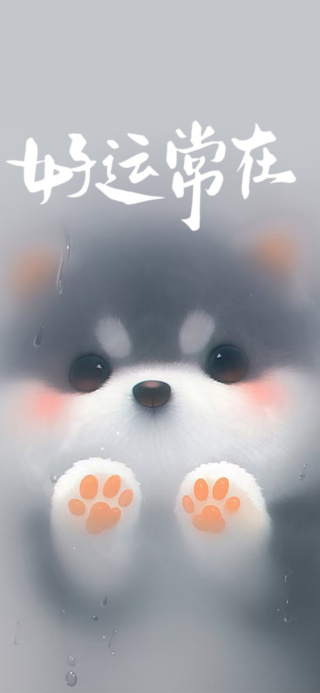 好运常在 治愈小狗