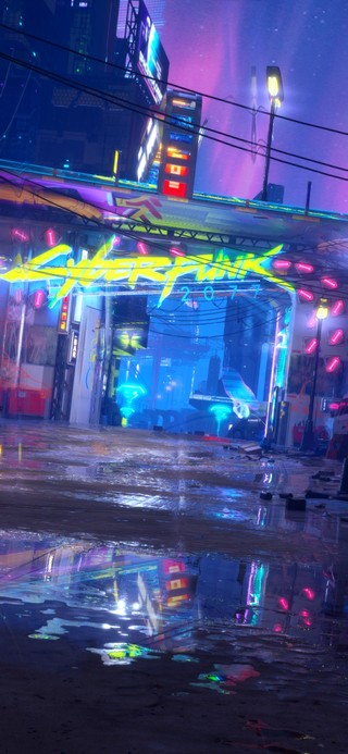 雨夜飞驰