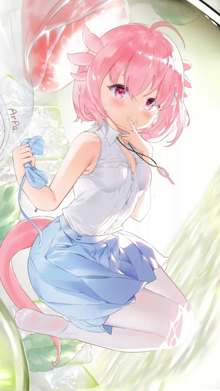 阿波壁纸