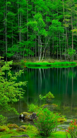 4K养眼绿意-青山绿水