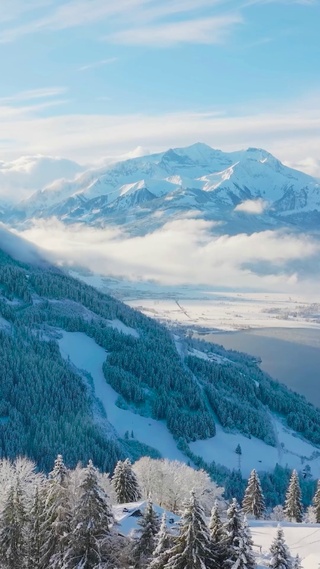 唯美冬日雪景