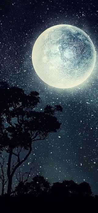 明月几时有