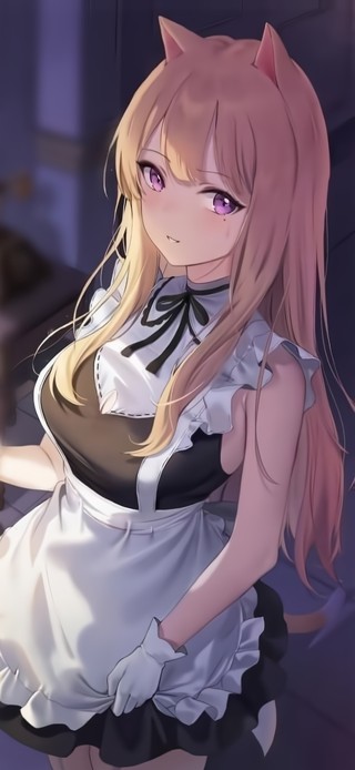 猫耳女仆