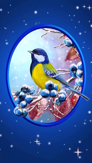 【蓝色背景的鸟儿】