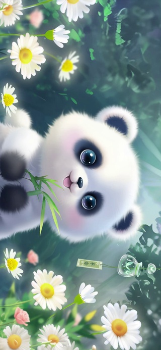 熊猫小可爱哇
