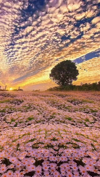 沉醉在浓香的花海中ヽ(✿ﾟ▽ﾟ)ノ