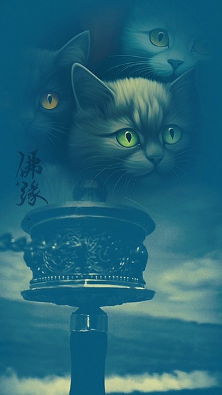 佛缘1