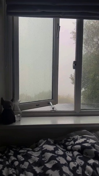 窗外の雨