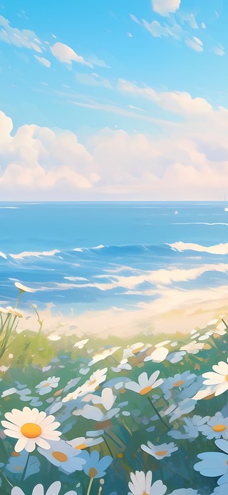 海边的白色菊花