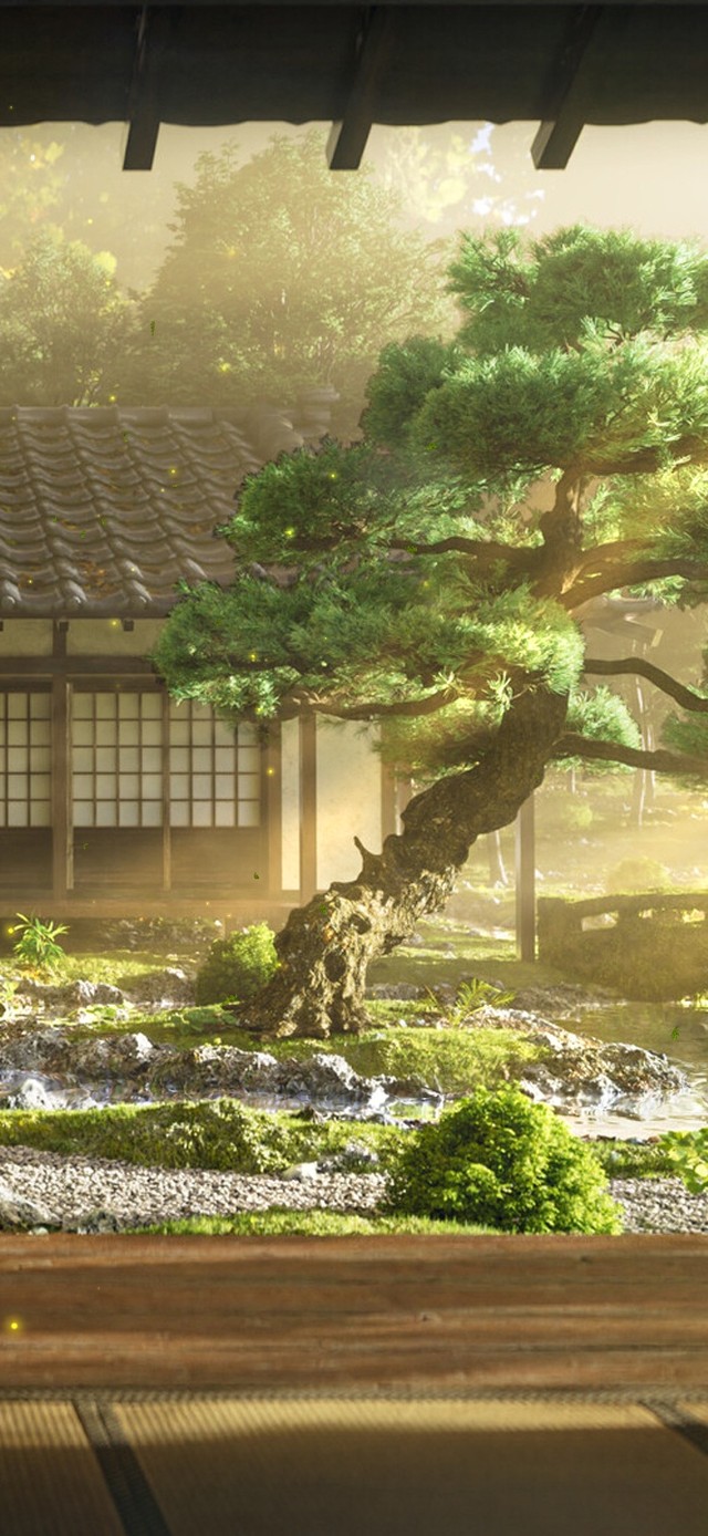 护眼古风夕阳庭院