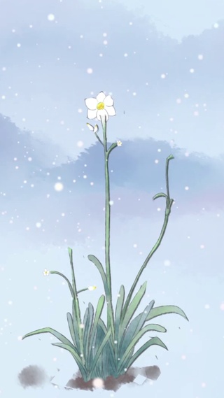 小花花