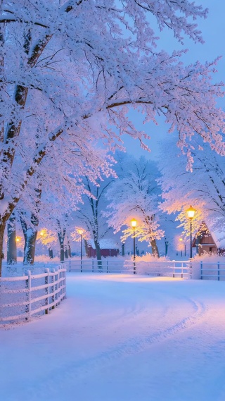 雪铺的路，暖灯边的雪房子